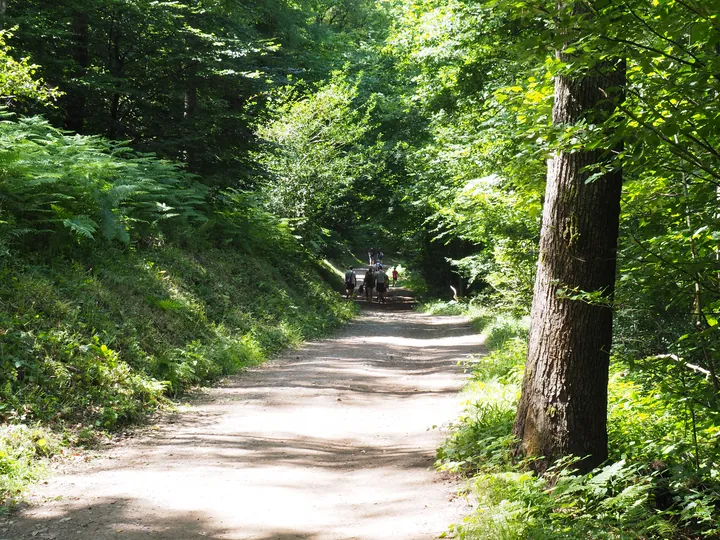 Ninglinspo (België)